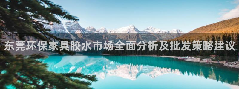 沐鸣平台下载：东莞环保家具胶水市场全面分析及批发策略建议