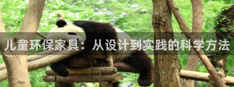 沐鸣登陆网站：儿童环保家具：从设计到实践的科学方法