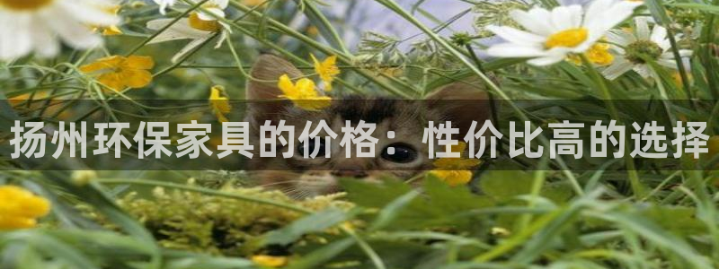 沐鸣手机网页登录入口：扬州环保家具的价格：性价比高的选择