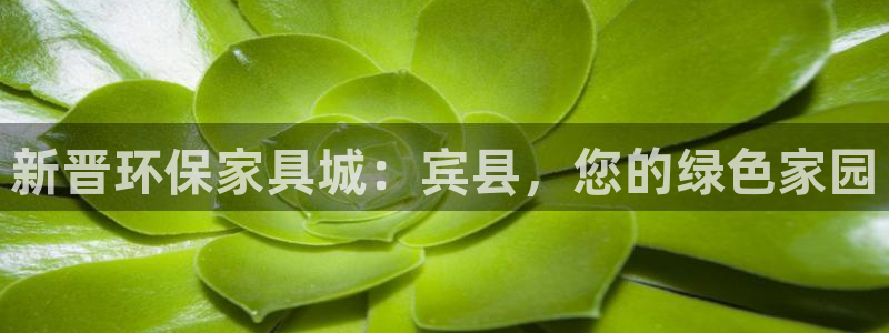 沐鸣是什么平台：新晋环保家具城：宾县，您的绿色家园