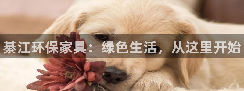 沐鸣平台测速地址：綦江环保家具：绿色生活，从这里开始