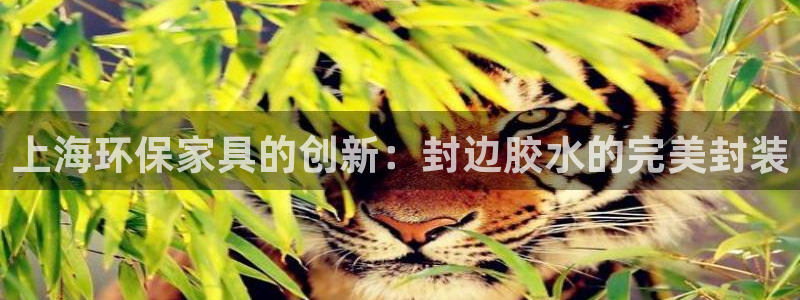 沐鸣是什么平台：上海环保家具的创新：封边胶水的完美封装