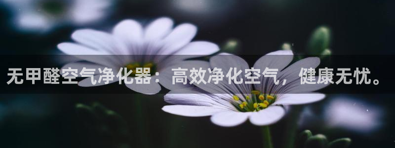 沐鸣官网客服：无甲醛空气净化器：高效净化空气，健康无忧。